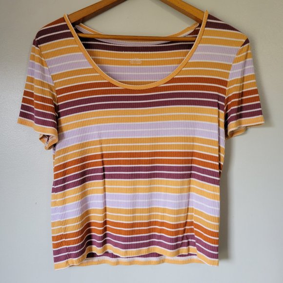 American Eagle Outfitters Tops - EUC AMERICAN EAGLE STRIPED RIBBED MULTICOLOR SCOOP NECK TEE SZ L
